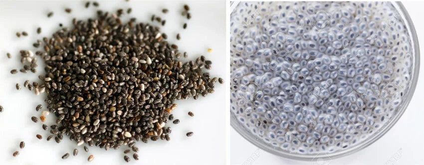 chia seed - Premium Quality